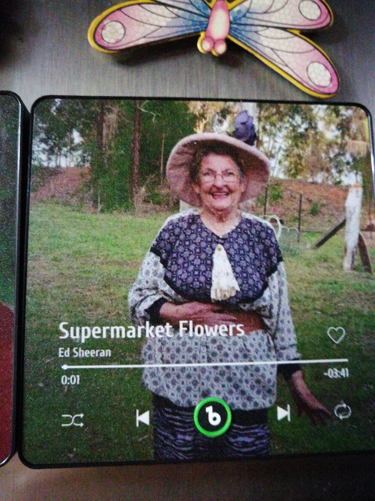 Ímã musical com foto de família na geladeira